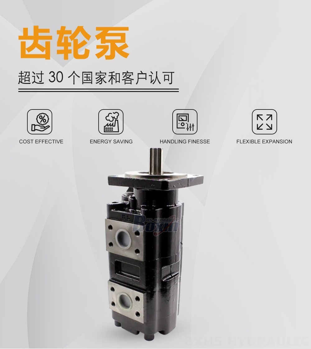 JHP2080-2080 80 毫升/转 20 MPa (2900 psi) 液压齿轮泵