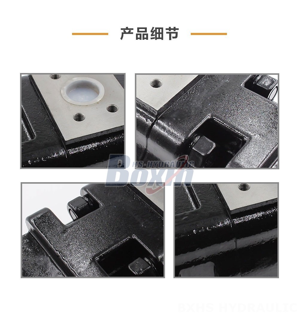 JHP2100-2080-1016 100 毫升/转 20 MPa (2900 psi) 液压齿轮泵