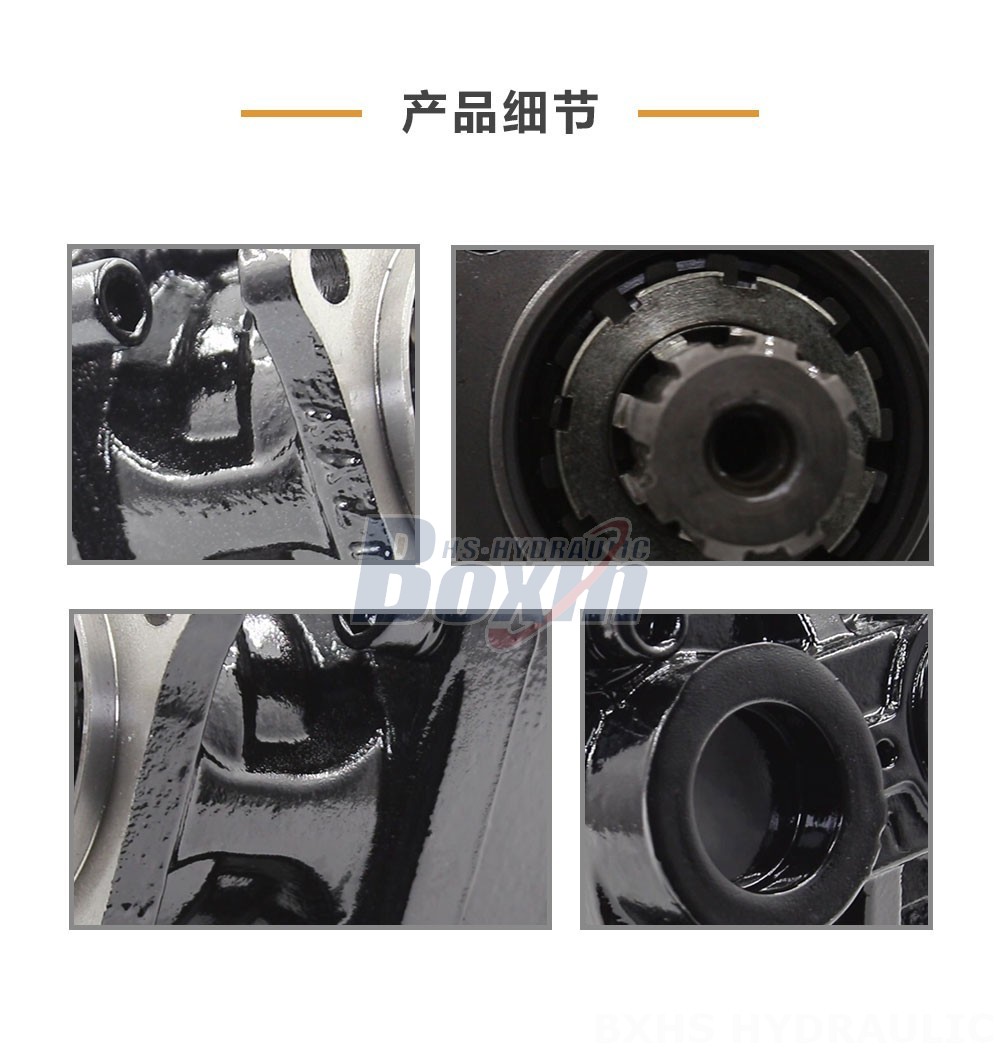 LB-63 63 毫升/转 31.5 MPa (4570 psi) 液压柱塞泵