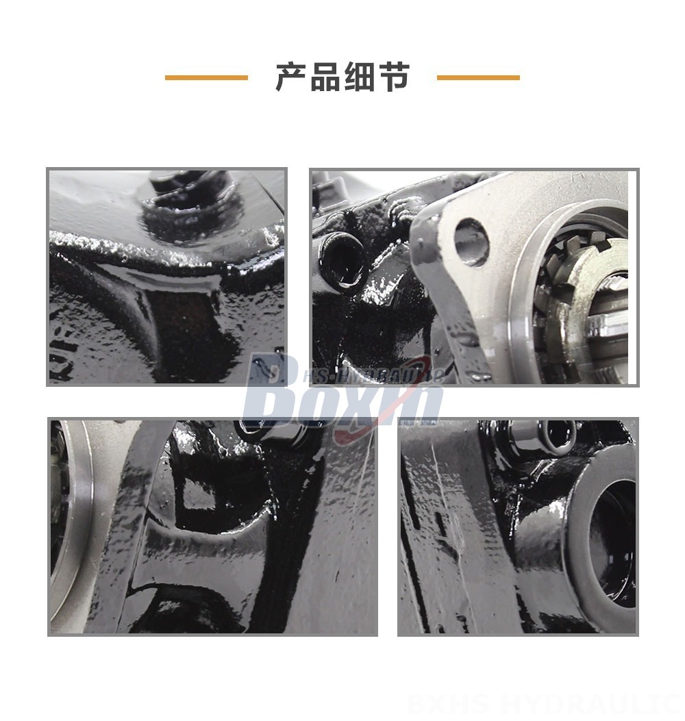 LB-80 80 毫升/转 31.5 MPa (4570 psi) 液压柱塞泵