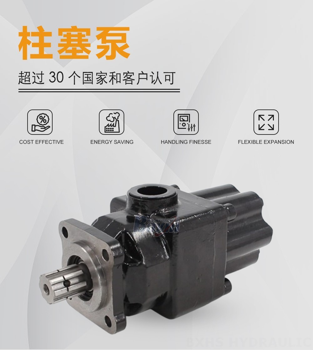 P7-63 63 毫升/转 25 MPa (3625 psi) 液压柱塞泵