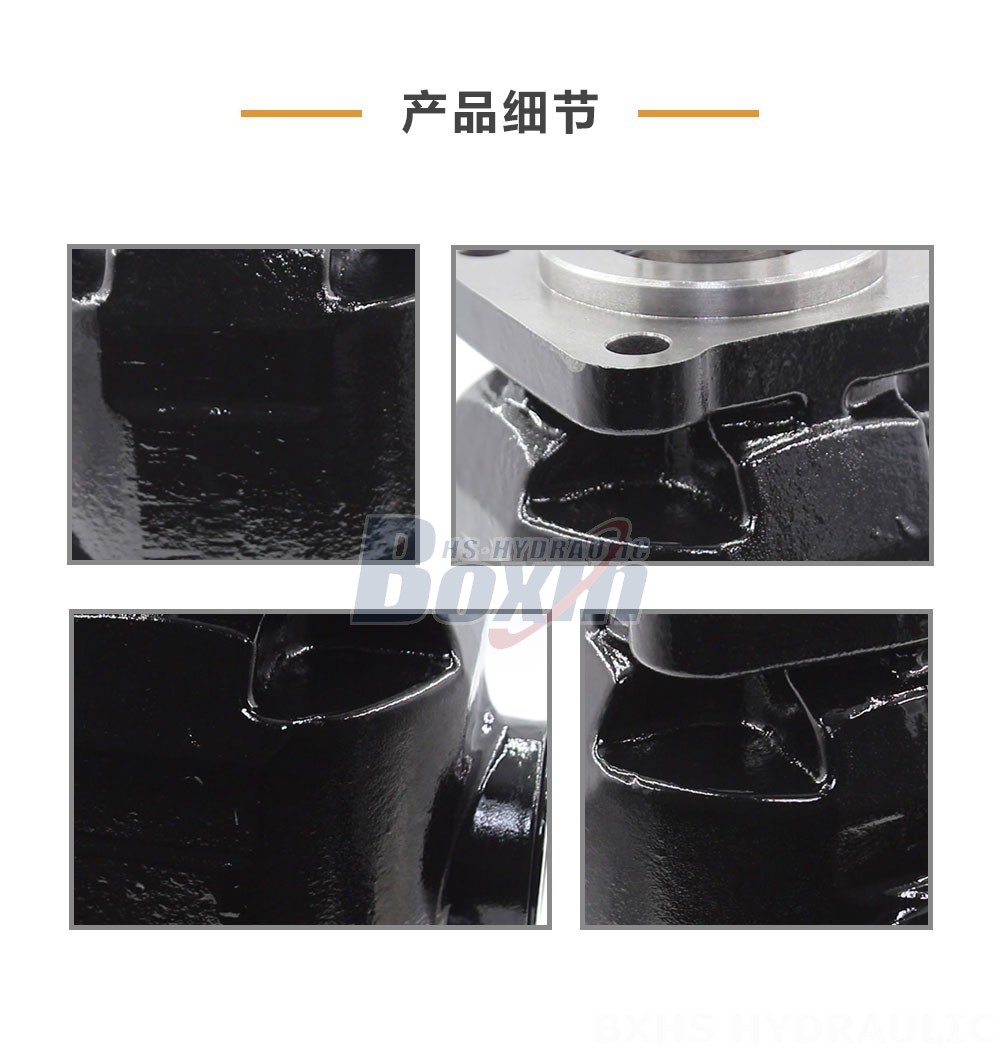 P7-63 63 毫升/转 25 MPa (3625 psi) 液压柱塞泵