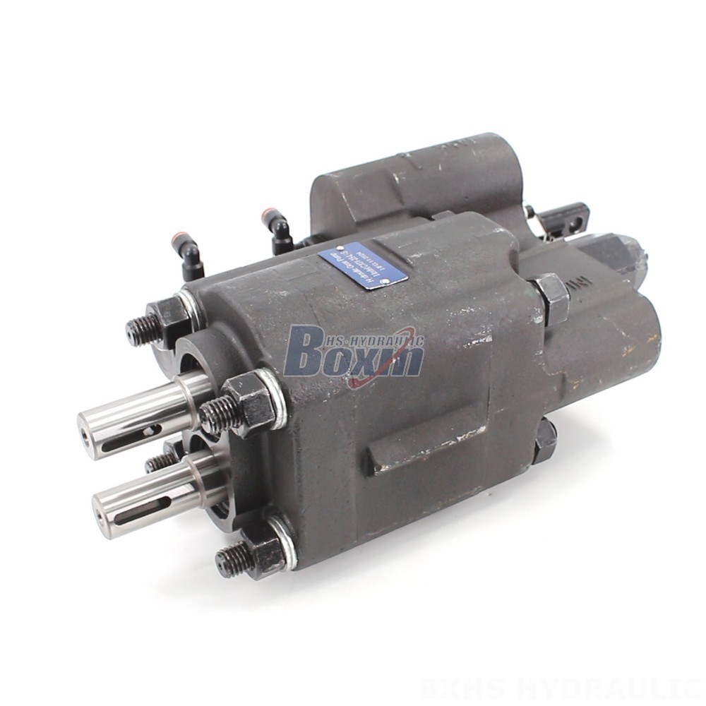 C101-25-LAS Hydraulic Gear Pump: OEM & ODM Services Available - Customization Options main image