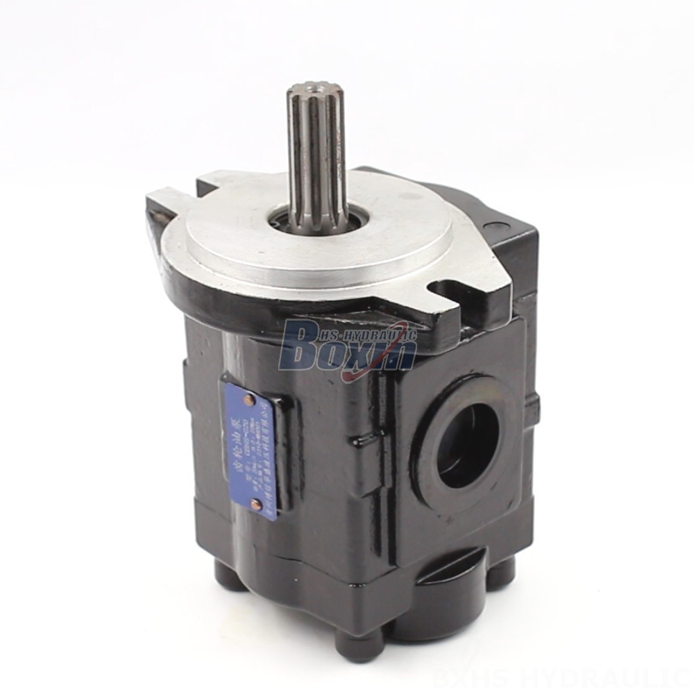 High-Performance Hydraulic Gear Pump - 20 cc/rev | Wholesale & OEM main image