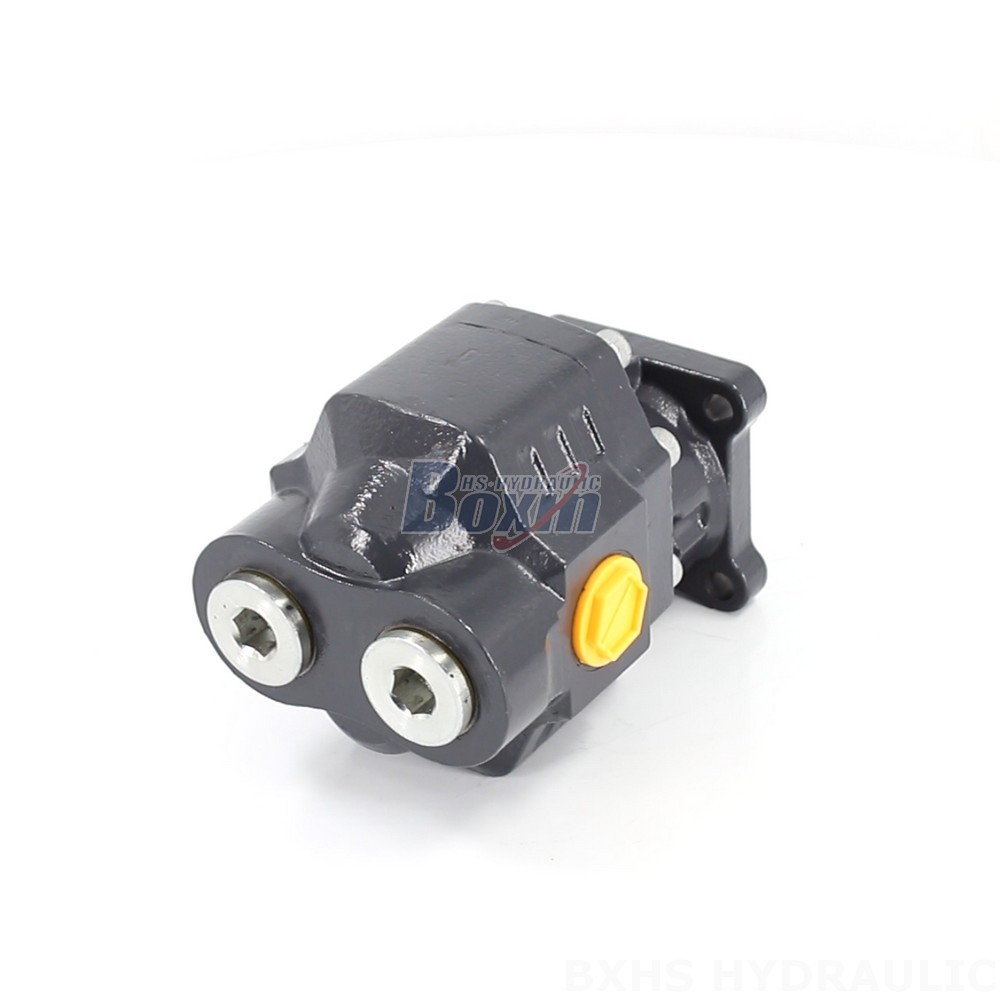 Durable 22 MPa (3190 psi) Hydraulic Gear Pump - Model CBHW-ISO-80-H cover photo