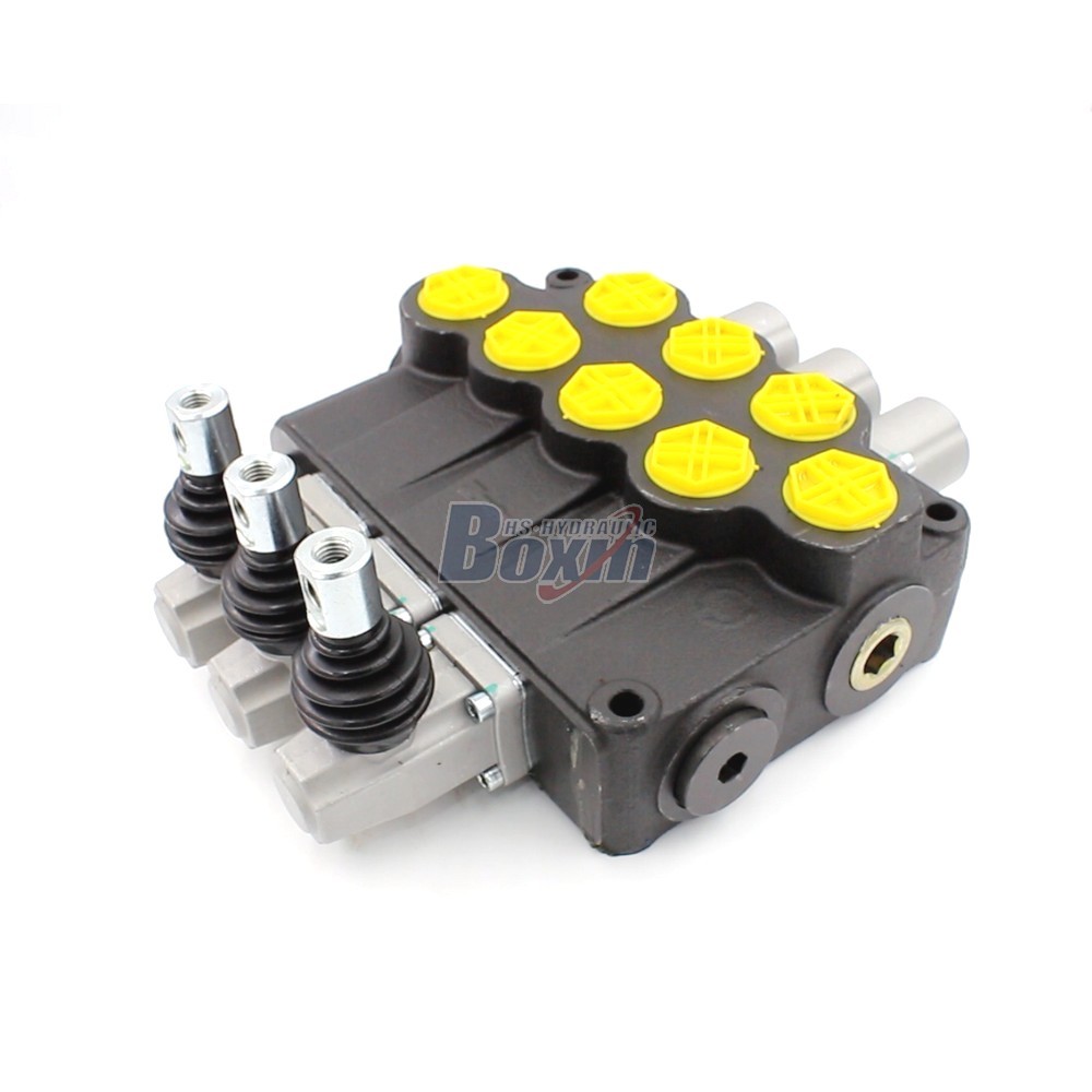 P120-G1-OT 3 Spool Hydraulic Directional Valve | Factory Direct & Customizable cover photo