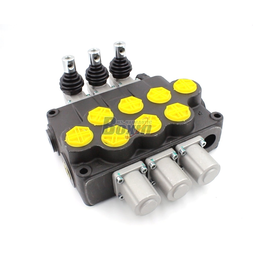 P120-G1-OT 3 Spool Hydraulic Directional Valve | Factory Direct & Customizable main image