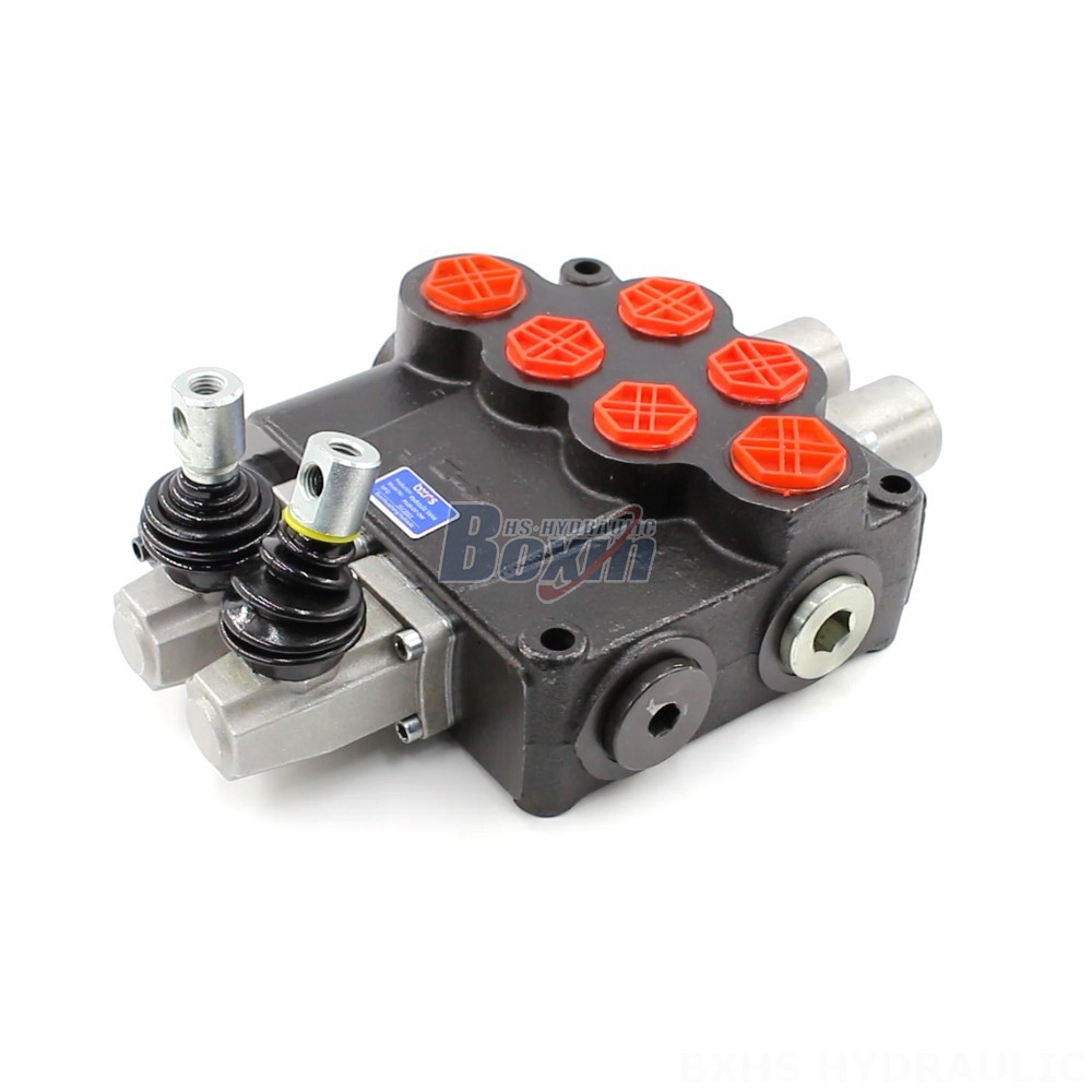 P120 Manual 2 Spool Monoblock Directional Valve | Manufacturer & Supplier cover photo