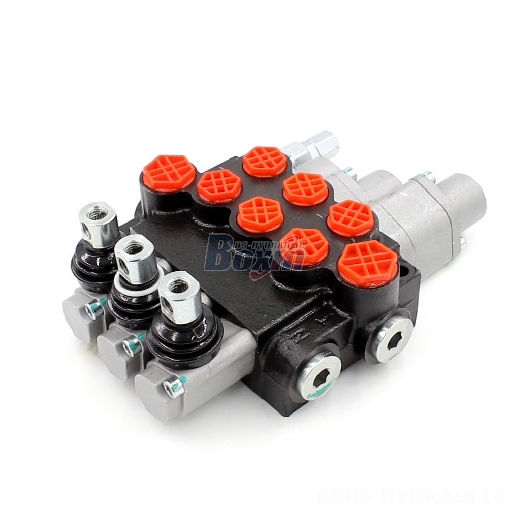 Spool Monoblock Directional Valve P40-G12-G38-OT-QTW-QTW1: Technical Datasheet & Literature cover photo