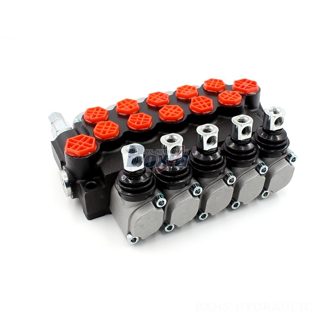 P40-G12-G38 Monoblock Directional Valve | Private Label & OEM Manufacturing main image
