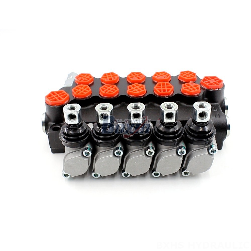 Factory Authorized Distribution: Ensure Genuine P40-G12-G38 Valves and Support cover photo