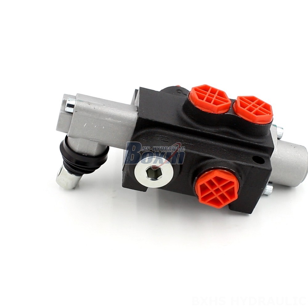 Looking for Hydraulic Valve OEM/ODM? P40-G12-OT Series Available for Customization main image