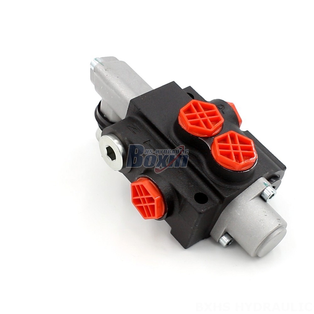 Looking for Hydraulic Valve OEM/ODM? P40-G12-OT Series Available for Customization main image