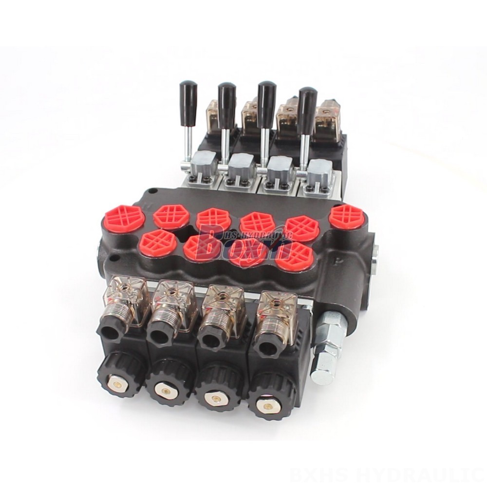 Manufacturer of P40-S Hydraulic Valves: Bulk Orders Welcome main image